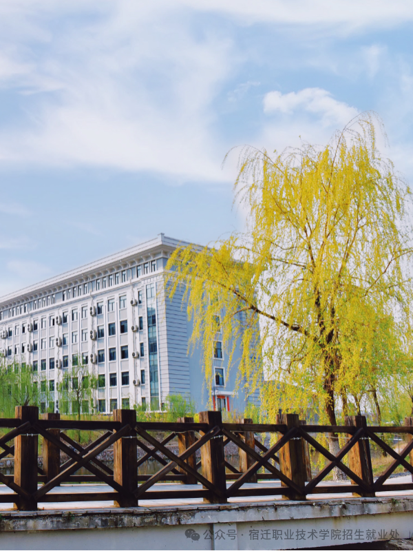 八维职业学校宿迁职业技术学院2026年提前招生简章