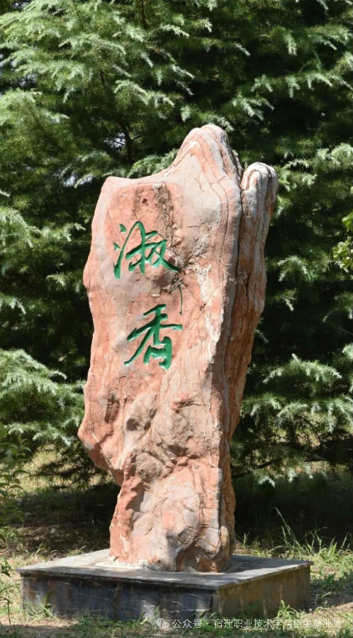 八维职业学校宿迁职业技术学院2026年提前招生简章