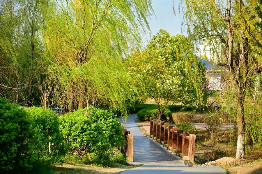 八维职业学校如何助力学子高效快乐成才