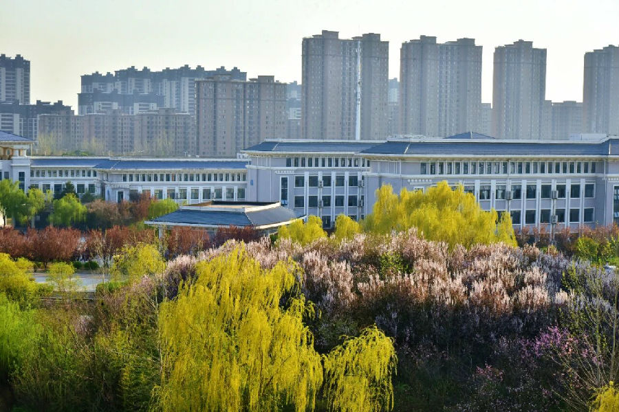 八维学校的环境怎么样