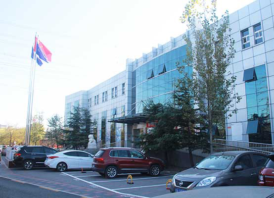 八维教育：锻造全能精英，引领未来新篇章