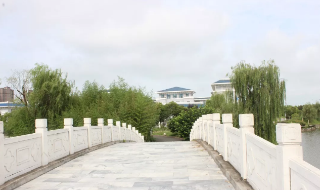 八维热门专业领跑高薪行业榜，这些专业的学生就业无忧