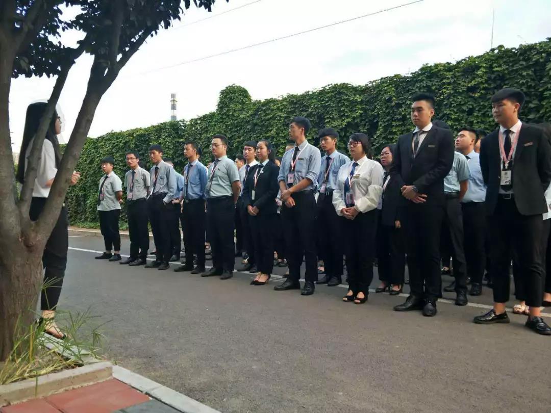 八维职业学校:领航职业教育AI革新,打造职业教育新境界!